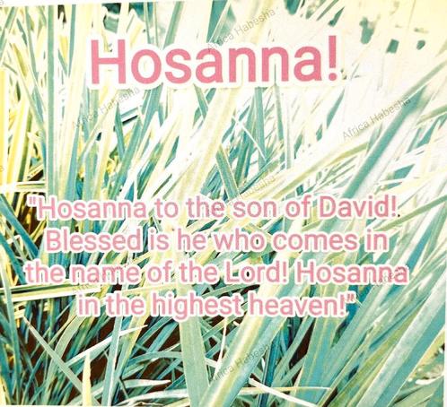Ansichtkaart Hosanna, Verzamelen, Ansichtkaarten | Themakaarten, Ongelopen, Feest(dag), Verzenden