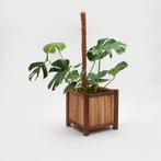 Kokosvezel Plantensticks - Steunpalen -  Bruin - 100x5cm, Nieuw, Overige materialen, Ophalen of Verzenden, 30 tot 60 cm