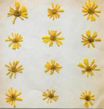 cd promo - The Molochs - Flowers In The Spring, Verzenden, Zo goed als nieuw