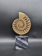 sculptuur, Bronze Ammonite Cast - 30 cm - Brons, Marmer