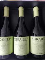 2023 Quinta Nova de Nª Senhora do Carmo, Mirabilis Branco, Nieuw