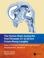 9781032183329 The Human Brain during the First Trimester ..., Verzenden, Nieuw, Shirley A. Bayer