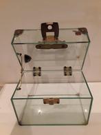Vitrinekast - glas en brons - Glazen doos met sluiting en, Antiek en Kunst, Kunst | Designobjecten