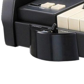 Hammond CU-1 Black Leslieschakelaar beschikbaar voor biedingen