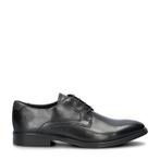 Ecco Melbourne lage nette schoenen voor heren in het Zwart, Ecco, Verzenden, Zwart, Overige typen