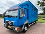 Degelijke MAN 5-paards paardenvrachtwagen!, Ophalen, Zo goed als nieuw, Polyester, Overige typen