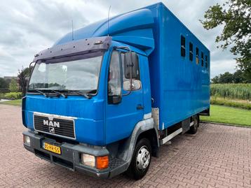 Degelijke MAN 5-paards paardenvrachtwagen! beschikbaar voor biedingen
