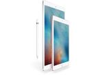 Apple iPad Pro - 9,7 inch - WiFi - 256GB - Roségoud, Computers en Software, Apple iPads, Verzenden, Zo goed als nieuw