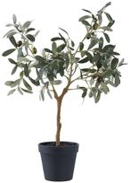 House Nordic Olijfboom Kunstplant H61 cm, Ophalen of Verzenden, Nieuw