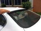 Carbon AS Style dak spoiler, Auto diversen, Tuning en Styling, Verzenden