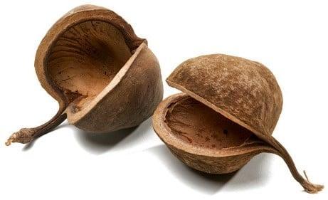 Buddha noten Naturel ca. 8 cm 6 stuks, Huis en Inrichting, Woonaccessoires | Kunstplanten en Kunstbloemen, Nieuw, Ophalen of Verzenden