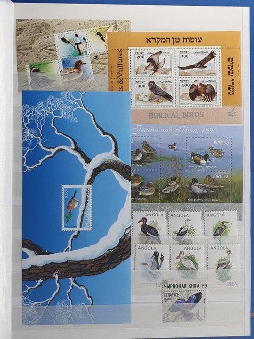Thema Vogels - Verzameling in een stockboek, Postzegels en Munten, Postzegels | Amerika