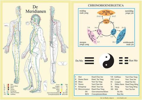 Anatomie poster meridianen (Nederlands, gelamineerd, A4), Sport en Fitness, Overige Sport en Fitness, Verzenden