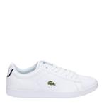 Lacoste Carnaby lage sneakers, Kleding | Heren, Schoenen, Verzenden, Nieuw, Sneakers of Gympen, Wit