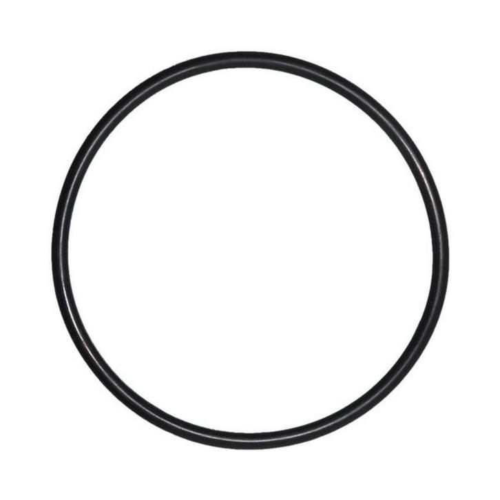 O-Ring voor Deksel Pentair IntelliFlo Whisperflo zwembadpomp, Tuin en Terras, Zwembad-toebehoren, Nieuw, Verzenden