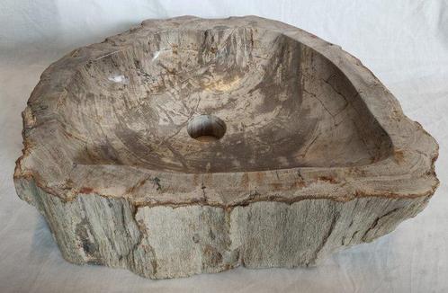Waskom - Fossiel Hout. - wastafel, Antiek en Kunst, Curiosa en Brocante