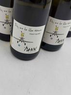 2024 Vignoble des 3 terres Domaine Mann Fly To the Moon, Nieuw