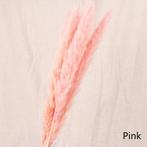 Dried Pampas Fluffy Pink Soft Roze 70 cm corta dried fluffy, Nieuw, Ophalen of Verzenden