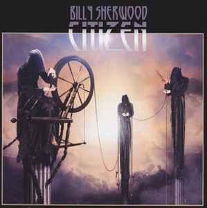 cd - Billy Sherwood - Citizen, Cd's en Dvd's, Cd's | Rock, Verzenden