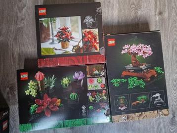 Lego Set - Botanical Collection, Icons - Bonsai Tree; beschikbaar voor biedingen