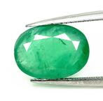 Zonder Minimumprijs - 1 pcs Groen Smaragd - 4.69 ct -, Sieraden, Tassen en Uiterlijk, Edelstenen, Nieuw