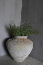 Namaak wilde Asparagus green 73 cm, Huis en Inrichting, Ophalen of Verzenden, Nieuw