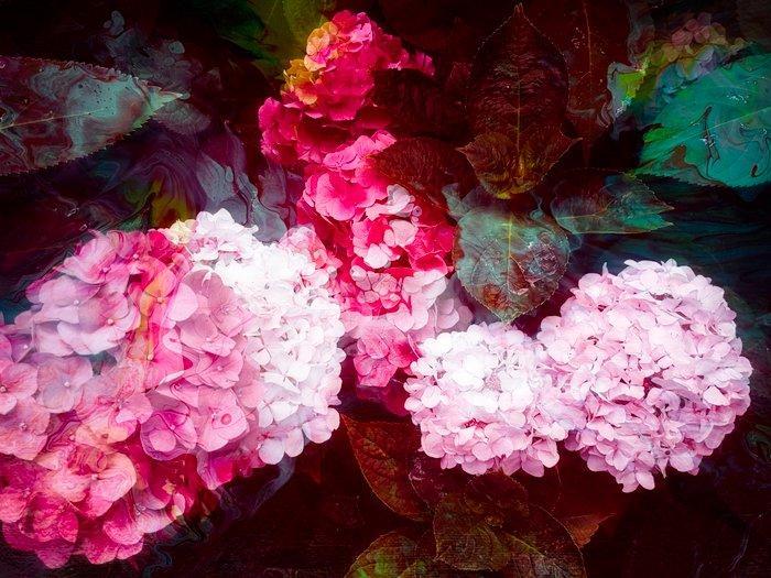 Viet Ha Tran - Hortensia I, Antiek en Kunst, Kunst | Designobjecten