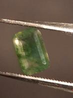 Natural Faceted Agate - Green Moss Agate - 0.467 ct - octago, Verzenden, Nieuw