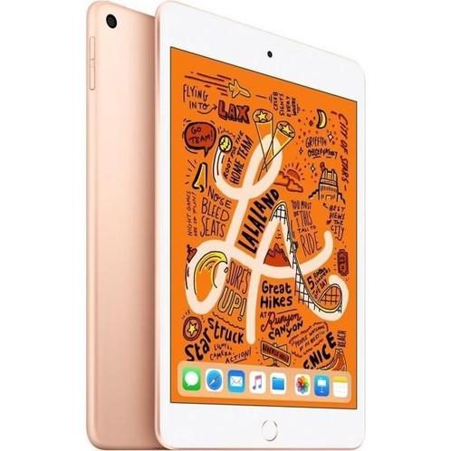 Apple iPad Mini 5 - 256GB Wifi + 4G - Goud | GRATIS verzonde, Computers en Software, Apple iPads, Zo goed als nieuw, Ophalen of Verzenden