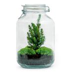 DIY terrarium - Jar Christmas -  28 cm, Verzenden