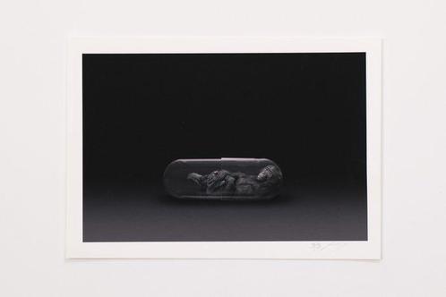 Gianluca Micheletti - Lifepod | Bonobo Or, Antiek en Kunst, Kunst | Schilderijen | Modern