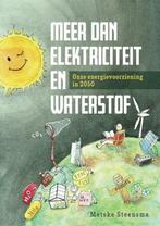 9789463013710 Meer dan elektriciteit en waterstof, Verzenden, Gelezen, Metske Steensma