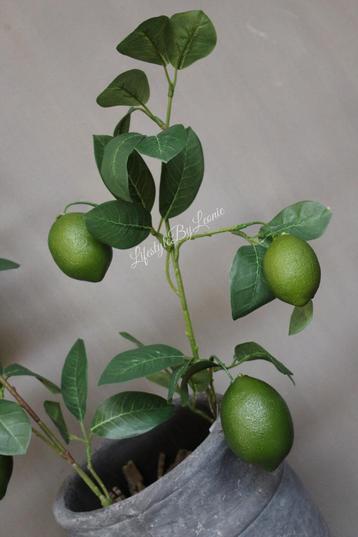 Namaak tak Lemons green 74 cm