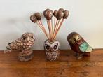 15 chouettes et hiboux - Figuur - Collection of 15 owl