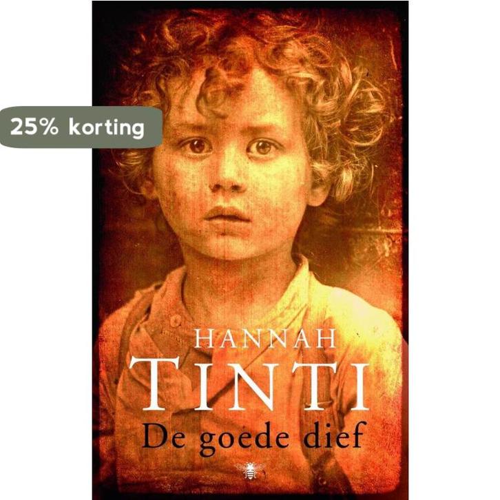 De goede dief 9789023428961 Tinti, Boeken, Romans, Gelezen, Verzenden