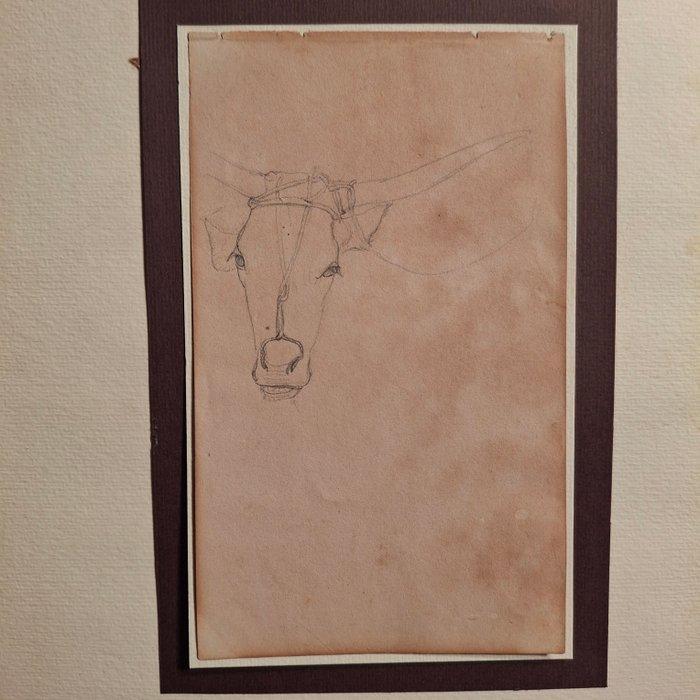 Nino Costa (1826-1903) - Testa di bove, Antiek en Kunst, Kunst | Schilderijen | Klassiek