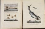 Tardieu - Plate 3 and 42 from Stedman, Antiek en Kunst, Antiek | Boeken en Bijbels