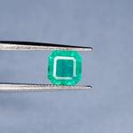 Groen Smaragd - 1.62 ct - International Gemological, Sieraden, Tassen en Uiterlijk, Edelstenen, Nieuw