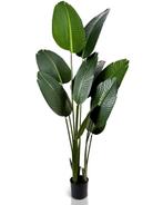 IvoQ Strelitzia Kunstplant - 160 cm - Onderhoudsvrij Groen, Huis en Inrichting, Woonaccessoires | Kunstplanten en Kunstbloemen