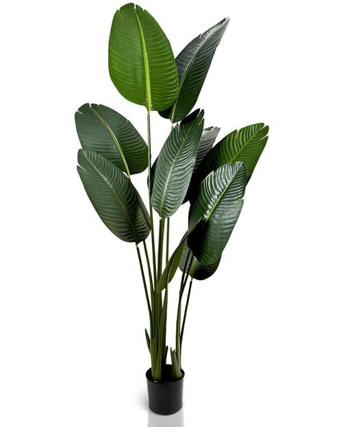 IvoQ Strelitzia Kunstplant - 160 cm - Onderhoudsvrij Groen, Huis en Inrichting, Woonaccessoires | Kunstplanten en Kunstbloemen