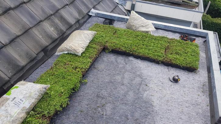 Het goedkoopste Groendak maak je zelf !!, Tuin en Terras, Overige Tuin en Terras, Nieuw