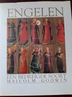 ENGELEN 9789061209805 M. Godwin, Verzenden, Zo goed als nieuw, M. Godwin