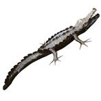 Krokodil tuinbeeld - 220 cm - uniek - hoogwaardig metaal, Tuin en Terras, Tuinbeelden, Ophalen of Verzenden, Nieuw