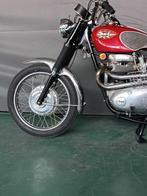 BSA - A65 Firebird Scrambler - 650 cc - 1970, Motoren