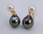 Oorbellen - 18 karaat Geel goud - Tahiti - Akoya parels, Nieuw