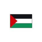 Gevelvlag/vlaggenmast vlag Palestina 90 x 150 cm - Palesti.., Verzenden, Nieuw