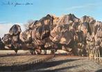 Christo (1935-2020) - The Wrapped Trees
