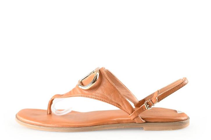 Twinset sandalen in maat 38 Bruin | 15% korting, Kleding | Dames, Schoenen, Bruin, Gedragen, Sandalen of Muiltjes, Verzenden
