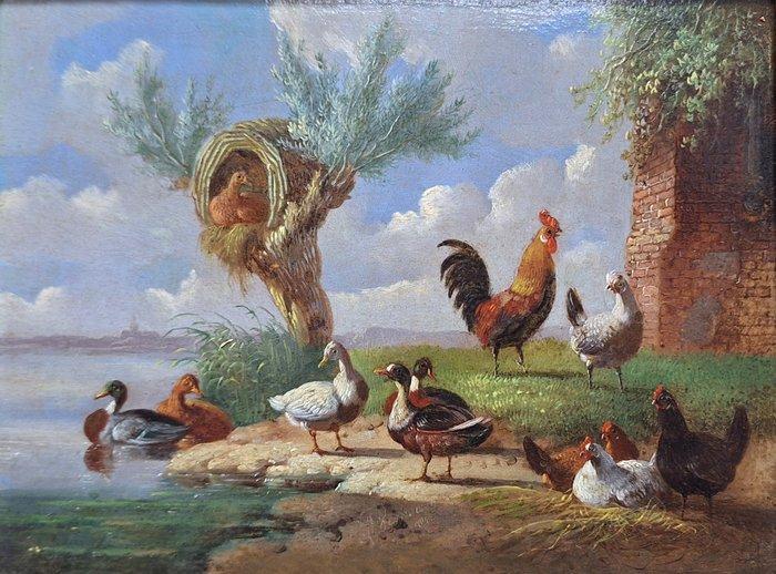 Albertus Verhoesen (1806-1881) - Pluimvee in landschap, Antiek en Kunst, Kunst | Schilderijen | Klassiek