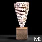 Gemonteerde Conus Litteratus – Elegantie gesculpt door de, Antiek en Kunst